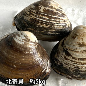 kL kt  900g`5kg zbLKC L Ă ①