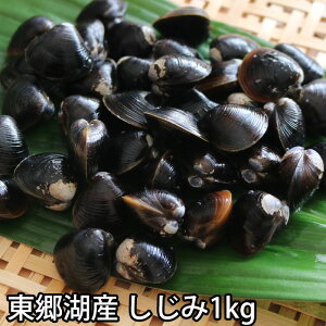 しじみ 活き 約1kg鳥取県東郷湖 シジミ 蜆 貝 生きてる 冷蔵便