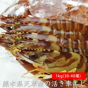 ԃGr 1kgi30-40jF{Ȃǂ̍Y  CVi①ւ͏퉷ցj