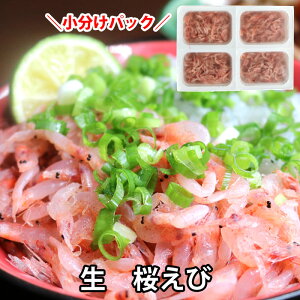   hg pY  Ɩp Gr  ݂ g pX^