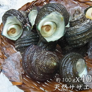 ˓Y VRTUGi 180-100gjX1kg`4kgi①ցjK  hg o[xL[ Ă CNo[xL[ Ԍ CN j yY ̂ڏ 傫  L  h B