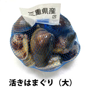  ͂܂  1kg 15O Od Y o[xL[ z ЂȍՂ H  j 