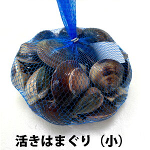  ͂܂  1kg 35O Od Y o[xL[ z ЂȍՂ H  j 