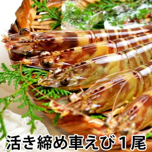  ԃGr 1 40-50g F{Ȃǂ̍Y ① ԊCV  ܂  O 蕨 j  Ls Í` Oډ s 
