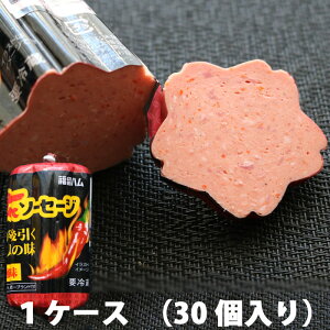 n TN炭 ԃ\[Z[W ihj 30Zbg {jA\[Z[W L n \[Z[W  Ԍ`  iF ij  ЂȍՂ Ղ i | i①ցj