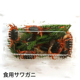 活き サワガニ 食用 1パック（約15匹入り）さわがに 沢蟹 生きている（冷蔵便）
