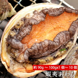 蝦夷あわび 1個～10個×約90〜100g/冷蔵便 あわび アワビ 鮑 ギフト お歳暮 お中元 お刺身 ステーキ バター焼 新鮮 貝 貝類 網焼き エゾアワビ 酒蒸し 蝦夷アワビ 贈答 贈り物 海産ギフト BBQ バーベキュー 海鮮BBQ　同梱 姿煮 蒸しアワビ 煮あわび
