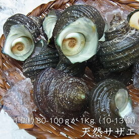 瀬戸内産 天然サザエ（ 1個約80-100g）X1kg～4kg（冷蔵便）メガ盛り 大量 お刺身 バーベキュー 壺焼き 海鮮バーベキュー 花見 海鮮 お祝い お土産 さざえのつぼ焼 大きめ 魚介類 貝 さざえ 栄螺 BBQ 海鮮 食べ物 魚介 水産