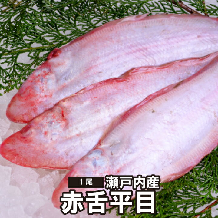 超激得sale 業務用 舌平目ポーション 切身 80g 10枚入 骨と皮がとってあるから使いやすい したびらめ ムニエル ひらめ きりみ 魚 安