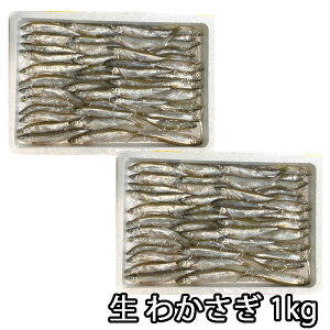 킩 1kg kCY VՂ g JTM i①ցj