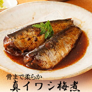 惣菜 パックの人気商品 通販 価格比較 価格 Com 惣菜 パックの人気商品 通販 価格比較 価格 Com