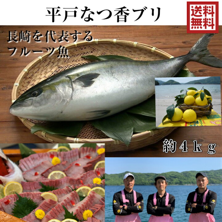 楽天市場 青空レストラン に出た フルーツ魚 送料無料 平戸なつ香 ブリ ４ｋｇ 長崎 を代表する フルーツ 魚 調理しやすいように内臓を取り除いて発送します 鰤 活〆 みかん オレンジ 兄弟 ブリ 坂野水産 楽天市場店
