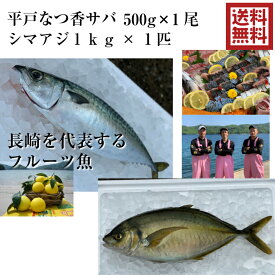 青空レストラン に出た 平戸なつ香サバ　約500g×1尾と シマアジ 約1kg ×1匹 長崎 を代表する フルーツ魚 調理しやすいように内臓を出して発送します。 サバ 鯖 刺身 生サバ ゴマサバ 活〆 みかん オレンジ シマアジ ブリ 兄弟　養殖