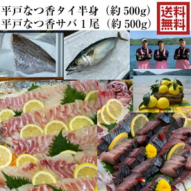 青空レストラン に出た フルーツ魚 送料無料　平戸なつ香サバ 約500g 1尾と平戸なつ香タイ（半身・真空パック・あら無し）刺身 で 500g フィーレ 長崎を代表する フルーツ 魚 鯛 鯖 サバ 活〆 タイ 青空レストラン 兄弟　ギフト