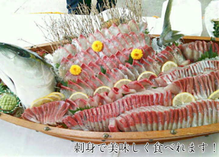 楽天市場 青空レストラン に出た フルーツ魚 送料無料 平戸なつ香 ブリ ４ｋｇ 長崎 を代表する フルーツ 魚 調理しやすいように内臓を取り除いて発送します 鰤 活〆 みかん オレンジ 兄弟 ブリ 坂野水産 楽天市場店