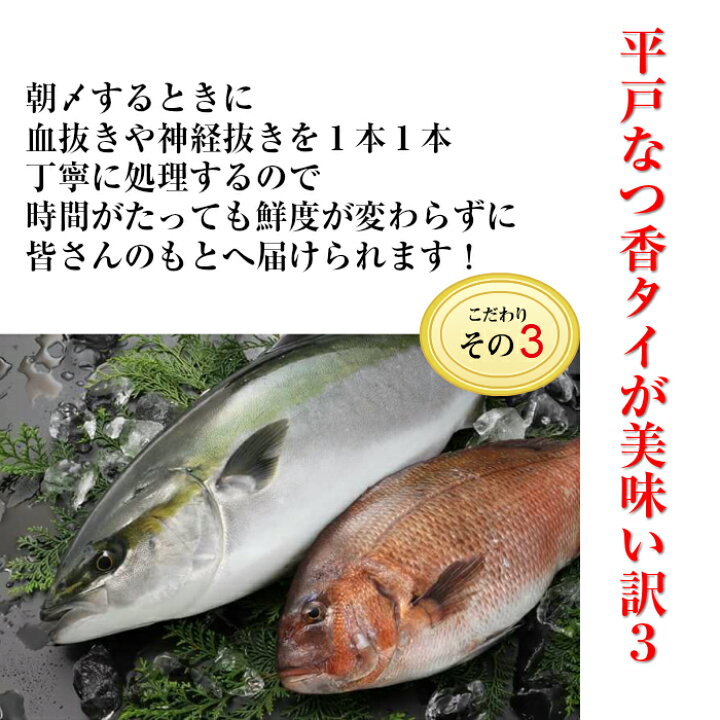 楽天市場 青空レストラン フルーツ魚 送料無料 平戸なつ香 タイ 約２ｋｇ 長崎を代表する フルーツ 魚 調理しやすいように内臓を取り除いて発送します 鯛 活〆みかん オレンジ 青空レストラン 坂野水産 楽天市場店