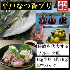 楽天市場 ハマチの通販