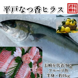 楽天市場 ヒラマサ 食品 の通販
