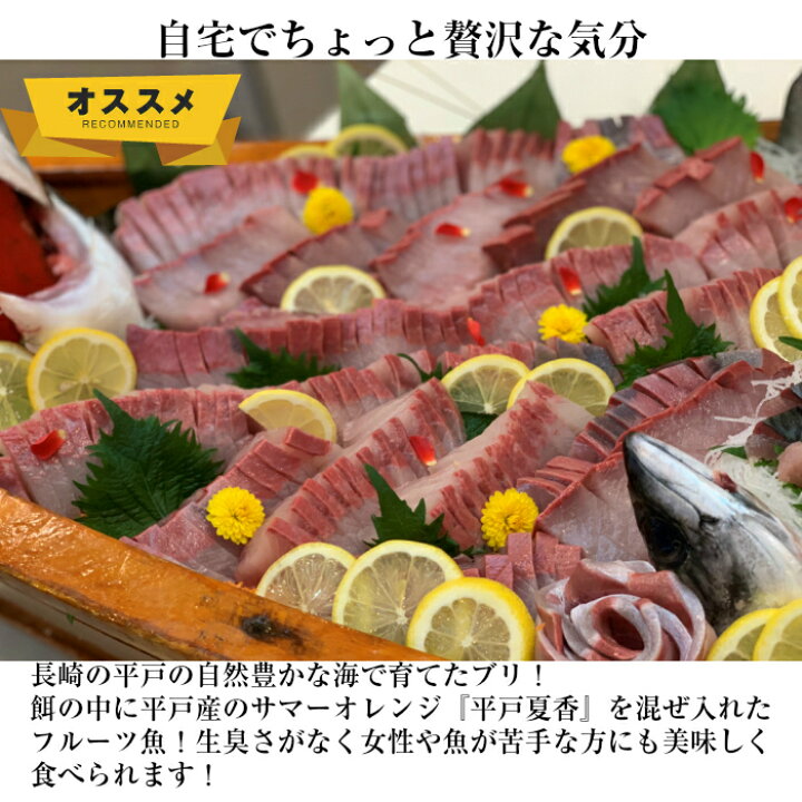 楽天市場 青空レストラン に出た フルーツ魚 送料無料 平戸なつ香 ブリ ４ｋｇ 長崎 を代表する フルーツ 魚 調理しやすいように内臓を取り除いて発送します 鰤 活〆 みかん オレンジ 兄弟 ブリ 坂野水産 楽天市場店