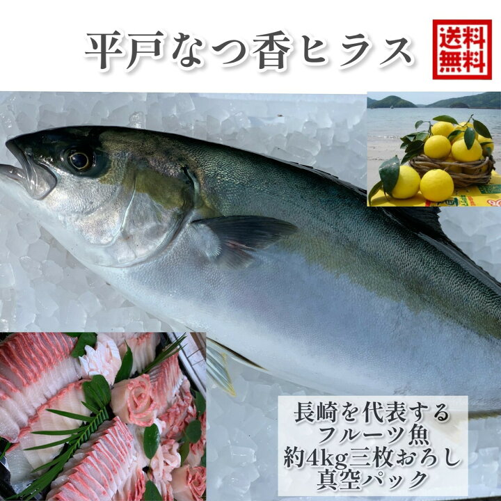 楽天市場 青空レストラン フルーツ魚 送料無料 平戸なつ香ヒラス 約4ｋｇ 三枚おろし 真空パック あら付き 刺身 フィーレ 青空レストラン長崎を代表する フルーツ 魚 ヒラマサ 活〆 みかん オレンジ 坂野水産 楽天市場店