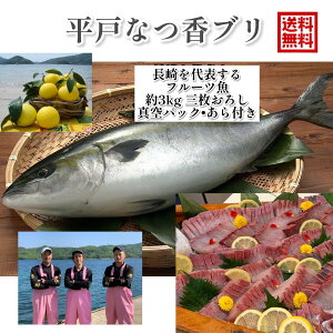 y11/30܂Ŕz󃌃Xg ɏo t[c @˂Ȃ u3kgi^pbNEtjhgŖ1.5kg tB[ \ t[c   Y ݂ IW 