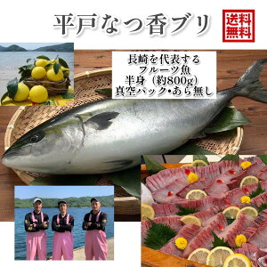 【11/30まで発送】青空レストラン に出た フルーツ魚 送料無料 平戸なつ香ブリ(半身・真空パック・あら無し)刺身 で 800g フィーレ 長崎を代表する フルーツ 魚 鰤 活〆 ブリ ハマチ 青空