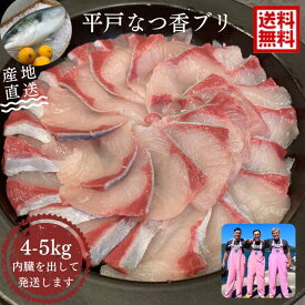 青空レストラン に出た フルーツ魚 送料無料　平戸なつ香 ブリ 4～5kg 長崎 を代表する フルーツ 魚 ！調理しやすいように内臓を取り除いて発送します 鰤 活〆　みかん　オレンジ 兄弟 ブリ