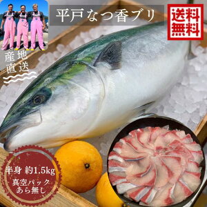 【12/1から発送開始】青空レストラン に出た フルーツ魚 送料無料 平戸なつ香ブリ(半身・真空パック・あら無し)刺身 で 1.5kg フィーレ 長崎を代表する フルーツ 魚 鰤 活〆 ブリ ハマチ