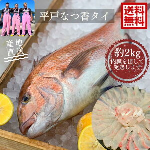 󃌃Xg t[c@@˂Ȃ ^C@2kg@\ t[c I₷悤ɓ菜Ĕ܂  Y݂@IW 󃌃Xg 