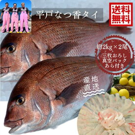 平戸なつ香タイ　約2kg×2尾（真空パック・あら付き） 送料無料 御歳暮刺身 で 1kg フィーレ 長崎を代表する フルーツ 魚 鯛 活〆　みかん　オレンジ 兄弟 青空レストラン　母の日　ギフト