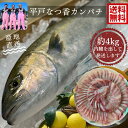 【数量限定】※指定日の指定ができません平戸なつ香 カンパチ 約4kg　長崎を代表する フルーツ 魚！ 送料無料調理しやすいように内臓を取り除いて発送します　　刺身　活〆　みかん　オレンジ 青空レストラン　兄弟　贈答品　お歳暮　お中元　母の日　ギフト