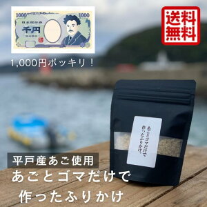 ʌ 1000~|bL  Yӂ肩 30g 肱 JVE Ղ