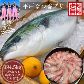【12/1から発送開始】青空レストラン に出た フルーツ魚 送料無料　平戸なつ香ブリ4～5kg（真空パック・あら付き）刺身で約2kg フィーレ 長崎を代表する フルーツ 魚 鰤 活〆 みかん オレンジ 青空レストラン 兄弟