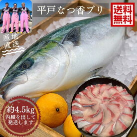 【12/1から発送開始】青空レストラン に出た フルーツ魚 送料無料　平戸なつ香 ブリ 約4.5kg 長崎 を代表する フルーツ 魚 ！調理しやすいように内臓を取り除いて発送します 鰤 活〆　みかん　オレンジ 兄弟 ブリ