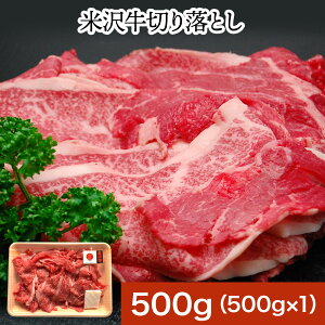 yzđ򋍐؂藎Ƃ 500gyⓀցz| hV̓ 2025 a uh đ  јa ㋍ ߍ] _ˋ An ˋ R` 䑡 Mtg v[g j j