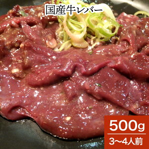 đ̍јao[500gi3`4lOj| hV̓ 2025 a uh đ  јa ㋍ ߍ] _ˋ An ˋ R` 䑡 Mtg v[g j j
