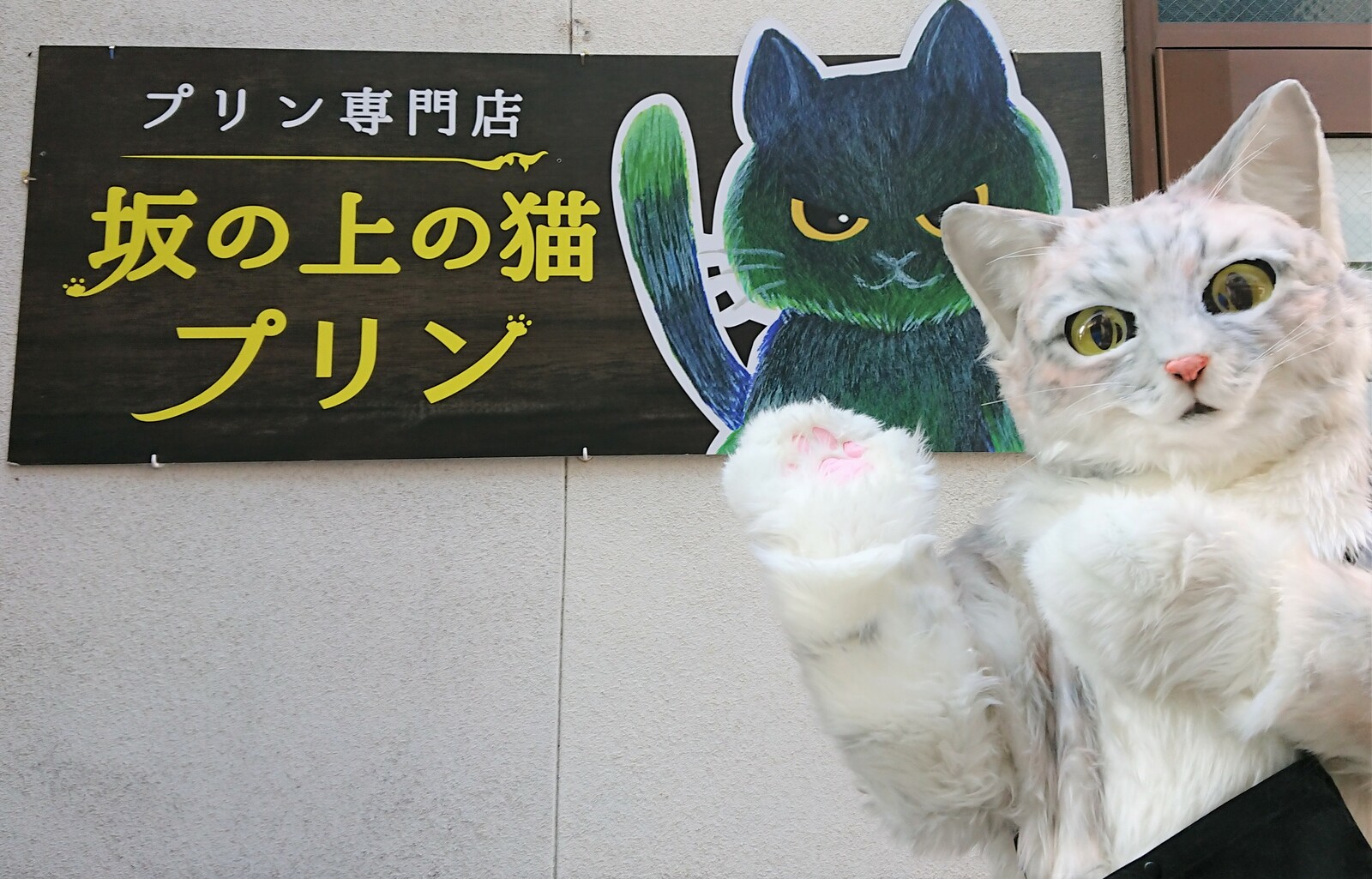 【楽天市場】坂の上の猫 プリン（プレーン3個・ひめくり3個）100g