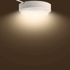 y4Zbgz  LEDƖ d20W S4000lm VƖ 铔 ȃGl ߓd ledV[OCg  hIP65 Ɩ LEDCg ^ V[OCg LED 8 6 ^ ~` 