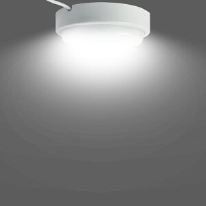 y2Zbgz  LEDƖ d20W S4000lm VƖ 铔 ȃGl ߓd ledV[OCg  hIP65 Ɩ LEDCg ^ V[OCg LED 8 6 ^ ~` 