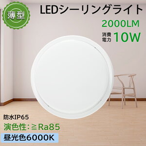yF6000KzLEDV[OCg ^ LEDƖ VƖ V䃉Cg LED LEDCg ȃGlCg  ^ ledV[OCg 4 10W V Ɩ Ɩ dC  m a rO 