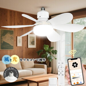 LED V[Ot@Cg Rt F iKʒ APPΉ V[OCg @\ ^C}[ 10 V[Ot@Cg dc[^[ Cz y ^ t]@\ 