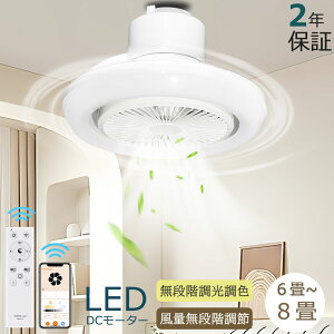 V[Ot@ V[Ot@ Cgt@t @ iKʒ 蓮 DC[^[ 2Nۏ LED 蓮U AvΉ Ɩ Hsv |f V[Ot@