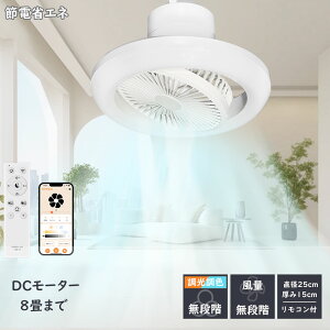 V[Ot@Cg 4,000lm DC[^[ V[OCg Kiʒ @ APP/Ru DC[^[ @t LEDt@Cg ^C}[@\ V[Ot@  px