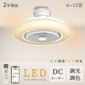 y2025V2Nۏ؁zV[Ot@Cg Ɩ t@t U DC[^[ V[OCg @ aa LED  1268 F Â Ɩ ^VƖ k 