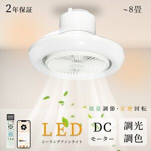 y2025V2Nۏ؁zV[Ot@Cg Ɩ t@t U DC[^[ V[OCg @ aa LED  6 8 F Â Ɩ ^VƖ k 