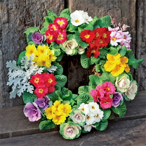 yTJ^̃^lz v |A^ Av ~bNX   50  t܂ t ~ }`J[ A nA ƒ؉ ͔| K[fjO | v |A^ Ղނ 