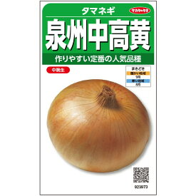 【P9倍！19日20:00-26日1:59】【サカタのタネ公式】 タマネギ 泉州中高黄 野菜 種 約600粒 小袋 秋まき 固定種 地植え 家庭菜園 栽培 収穫 園芸 玉葱 たまねぎ 玉ねぎ 玉ネギ 種子 タネ たね
