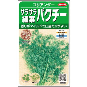 【サカタのタネ公式】 細葉パクチー コリアンダー 野菜 種 約500粒 小袋 春まき 秋まき 固定種 プランター 鉢 珍しい 家庭菜園 ベランダ栽培 収穫 園芸 香菜 シャンツァイ 種子 タネ たね