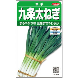 【P9倍！19日20:00-26日1:59】【サカタのタネ公式】 ネギ 九条太ねぎ 野菜 種 約2500粒 小袋 春まき 秋まき 固定種 簡単 初心者向き 育てやすい 美味しい 家庭菜園 栽培 収穫 園芸 葱 ねぎ 薬味 種子 タネ たね