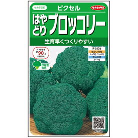 ブロッコリー ピクセル （約100粒） 実咲 袋